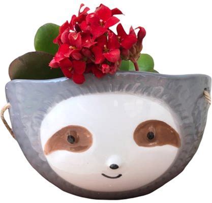 Sloth Hanging Planter